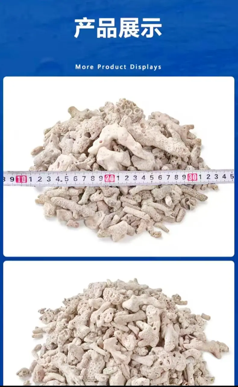 珊瑚沙详情4