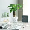 Gardenia Buenos Días Planta Verde Perezosa en Maceta Jazmín Cinta de Jardín Árbol de la Fortuna Cinta de Jardín Interior Todas las Estaciones
