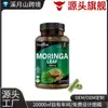 Cápsulas Docteat Moringa para Soporte Intestinal Soporte del Ritmo Corporal Suplemento para el Equilibrio de la Ingesta de Fibra Dietética