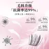 Cílios Rosa Folhas Finas Premium Cílios Agrupados Densos Simulação Popular Cílios Postiços para Iniciantes Macios Aparência Natural