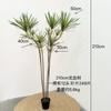 Simulación con contenido Yang Plantación Verde Madera Milenaria Árbol Sangre de Dragón Colorido Borde Rojo Árbol de Hierro Paisajismo de Jardín Hogar Hotel Fotografía
