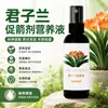 Fertilizante especial para plantas Clivia, promueve el crecimiento de brotes, acelera la floración y trata las hojas amarillas; una solución nutritiva especializada para plantas que no están floreciendo