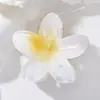 Presilha de Cabelo Flor Plumeria Atacado Transfronteiriço, Presilha de Cabelo para Nuca, Acessório de Cabelo Presilha Tubarão Celebridade da Internet