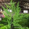 Hojas Verdes de Planta de Plástico Simuladas, Serie Verde, Decoraciones Verdes para Techo, Postes Guía para Techos Altos, Paisajismo Verde para Proyectos Exteriores, Plantas Verdes Estilo Bosque