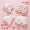 Roupa Íntima Feminina Roupa Íntima Infantil Roupa Íntima Feminina Classe A Crianças de Meio e Grande Porte Bebês Estudantes Roupa Íntima Infantil Feminina sem Abertura para o Bumbum