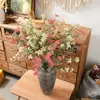Flores Artificiais de Qingzhi Tiaolan: Decoração de Casa, Buquês de Casamento, Paredes de Flores de Rosa, Flores Falsas, Estilo Ins, Transfronteiriço