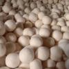 Bolas Secadoras de Lana Son Antiestáticas, Anti-Enredos, Bolas de Fieltro Absorbentes para Lavado Manual y Máquinas Integradas de Lavado y Secado, con Fuerte Absorción de Agua