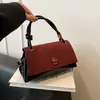 Nuevos Bolsos Transfronterizos 2025 para Mujer Bolsos de Hombro Coreanos de Nicho Bolsos de Mano Femeninos Bolsos Cruzados Simples para Mujer