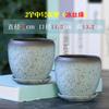 Vaso de Flores Cerâmica Grande Casa com Bandeja Distintivo Simples Planta Verde em Forma de Ovo Verde Dendrocalo Pequeno Vaso de Flores Carnudo