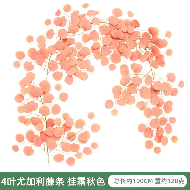 IMG_9118_副本_副本.jpg