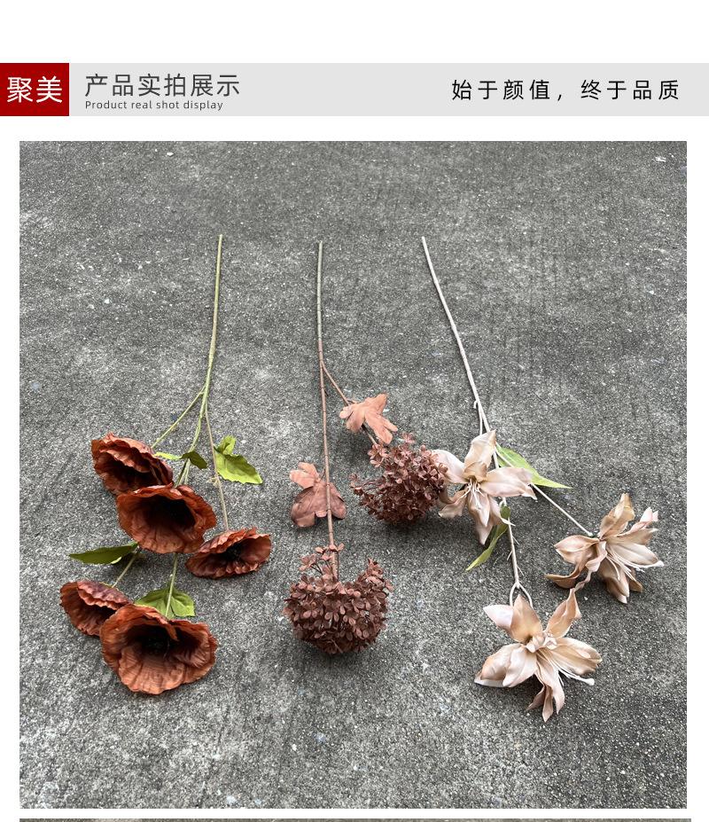 中号飞燕草-详情_05.jpg