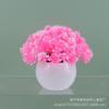 Planta verde artificial en maceta hemisferio cola de fénix bola de pasto decoración de flor falsa para interior decoración de escritorio flor de plástico cielo estrellado