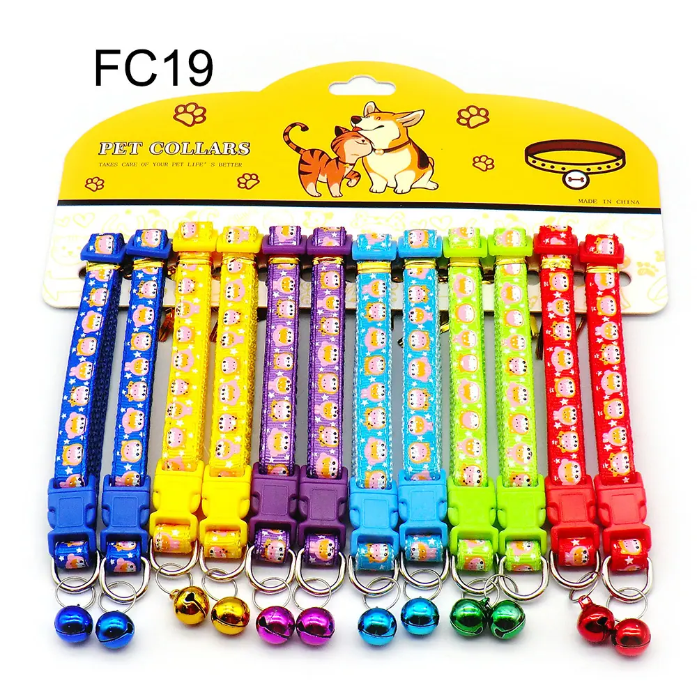 FC19.jpg