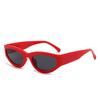 Óculos de Sol da Moda Casuais Versáteis Estilo 2024 para Viagens ao Ar Livre, Performance de Palco, Celebrações na Internet, Óculos de Sol do Mesmo Estilo para Homens e Mulheres