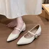 Aumento de Altura Interna 5cmSapatos Mary Jane Retrô com Padrão de Pedra, Bico Fino, Boca Rasa, Sola Reta, Sapatos Femininos