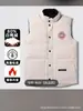 Fábrica Putian Venta al por mayor Chaleco Chaqueta de plumón de ganso Grande Clásico Otoño e Invierno Chaleco Corto Chaleco Chaqueta para Hombres y Mujeres Parejas