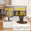 Tigela de Ração para Animais de Estimação, Tigela para Gatos, Tigela Dupla, Alimentador de Gatos, Dispensador Automático de Água, Tigela de Aço Inoxidável Integrada para Ração de Cachorros Atacado
