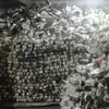Zapatos de Mujer en Liquidación Jinchang Calzado Deportivo Varios Inventario de Comercio Exterior Liquidación de Zapatos Zapatos en Liquidación a Bajo Precio Venta al por Mayor Suministro de Primera Mano