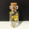 Japonês e Coreano Mais Vendidos Fresco e Doce Garrafa de Vidro de Garrafa de Deriva Trevo de Quatro Folhas Dente-de-Leão Flor Real Flor Seca Colar Modelo de Melhor Amiga
