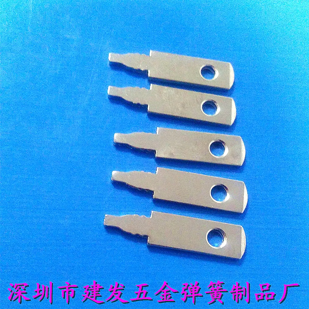 照片 206_副本