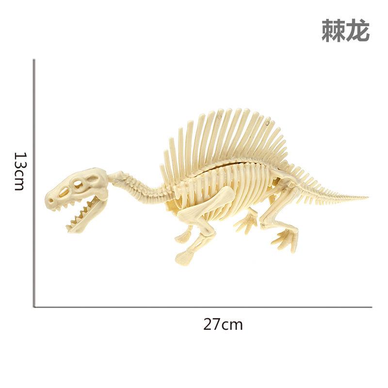棘背龙.jpg