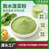Venta al por mayor en fábrica Spot Polvo de Espinacas Deshidratadas Aditivo Colorante Ingrediente para Tamales Pasteles Repostería Fideos Polvo de Espinacas Deshidratadas