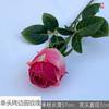 Rosa redonda de borde tostado de 7 cabezas rosa redonda de borde tostado de 2 cabezas comercio exterior mayoreo flor artificial decoración de ventana para el hogar flor de seda