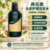 Champú Yangyuangqing Serie Variedad Completa Gel de Ducha Selección Multifunción Limpieza y Cuidado Calmante Cuero Cabelludo Productos Genuinos