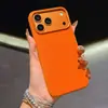 Adecuado para iPhone 18 Pro Max Funda Magnética Mate con Sensación de Piel Apple 17 Xuanwen Funda Protectora Anticaídas 15