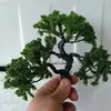 Árvores para Maquete Arquitetônica, Árvores Moldadas, Pinheiro Acolhedor, Paisagismo de Micro-Paisagem com Musgo, Podem ser Altas