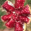 Romãs tunisianas de semente macia de Huili, Sichuan, romãs doces sazonais frescas, caixa inteira 5kg frete grátis