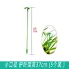 5 Hastes de Suporte para Plantas para Orquídeas, Proteção de Folhas, Monstera, Caladium, Estrutura de Suporte para Jardinagem, Fixação Antiderrapante para Flores