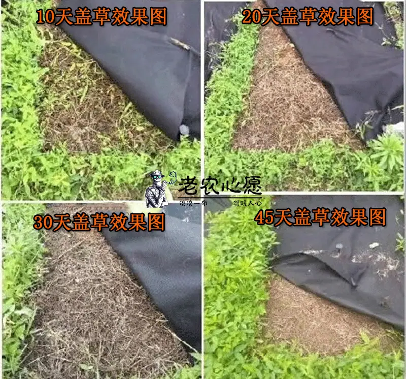 测试效果图