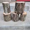 Troncos de Árvore de Champanhe, Casca de Árvore, Madeira Flutuante, Pets Répteis, Plantas Aquáticas, Paisagismo com Troncos de Árvore de Chuva da Floresta, Raízes de Azaleia, Plataforma de Sol para Tartarugas