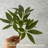 Plantas Verdes Artificiales, Bonsái de Hojas Verdes, Plantas Verdes en Maceta, Proyectos de Jardinería al Aire Libre Estilo Bosque, Arreglos Florales para Bodas al Aire Libre, Decoración del Hogar