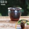 Vaso de Flor Carnuda Cerâmica Jardinagem Cerâmica Mini Novo Criativo Grés Casa Vintage Novo Vaso de Porcelana Vaso