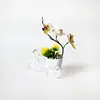 Nuevo macetero artificial estilo bicicleta transfronterizo, maceta pequeña decorativa de escritorio con bonsái Phalaenopsis creativo con forma de bicicleta