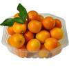 Caja de fruta PET desechable sin tapa caja de embalaje de fruta 1813H4 plástico transparente bandeja fresca