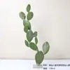 Cactus Pilares de Dragón Simulados Cactus Parásito Planta del Desierto Marroquí Decoración Suave para Paisajismo Modelo Decoración de Proyectos