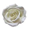 Clássico ameixa velha manhã flanela cabeça de flor de rosa cenário de casamento decoração de parede de flores flor artificial flor de simulação atacado