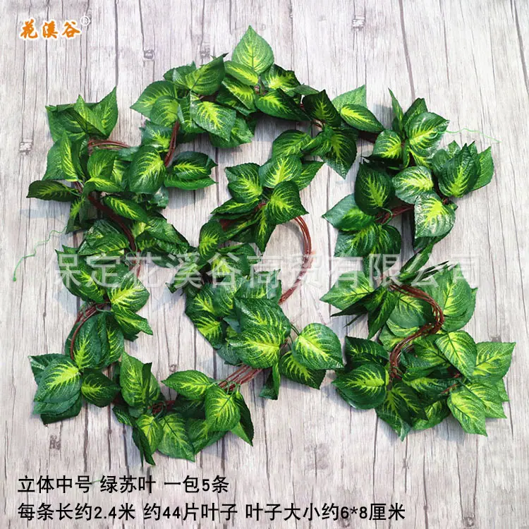 立体中号绿苏.jpg
