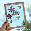 Marco de Fotos Transparente de Doble Cara DIY Hecho a Mano con Relieve de Hoja Exhibición de Especímenes de Plantas Flores Secas Marco de Fotos de Mesa Fábrica Venta al por Mayor