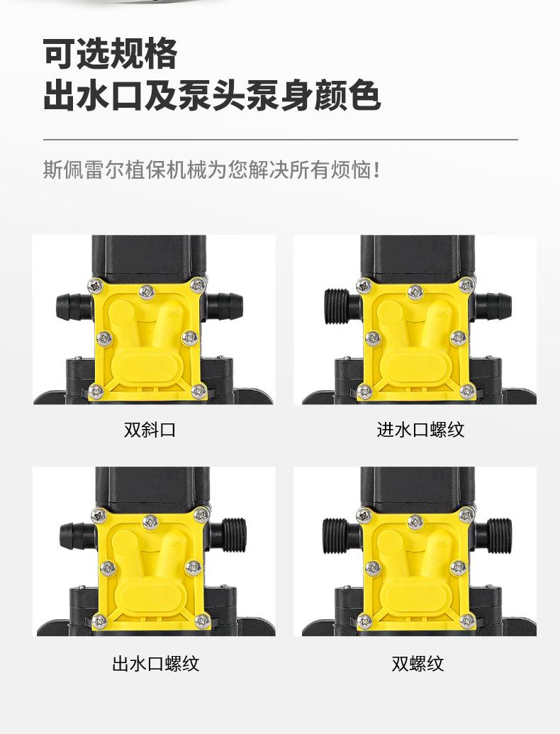 5000黄色_06.jpg