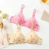 Venta Directa de Fábrica Comercio Exterior Transfronterizo Ropa Interior Femenina Estampada Delgada Hebilla de Dos Filas Sin Aros Sujetador Push-Up Cómodo