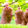 Saco Impermeável Agrícola Novo Tipo Anti-Pássaro e Anti-Inseto Respirável Multiuso para Árvores Frutíferas para Uvas, Laranjas e Pêssegos