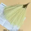 Adornos de Plumas de Hierba de Junco Nórdico Artificial para Exhibición en Sala de Estar, Estilo Ins, Hierba de Pampa Transfronteriza, Decoración de Boda, Accesorios Artificiales