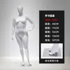 Maniquíes Femeninos Tallas Grandes para Tienda de Ropa, Modelo de Exhibición de Escaparate de Cuerpo Completo, Soporte de Exhibición de Modelo de Mujer Gorda