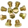 Molde de enchufe de hierro boquilla de rosca gruesa boquilla de rosca boquilla ordinaria junta de hierro galvanizado tapón de rosca al por mayor
