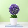 Simulação Planta Vasos Pequenas Árvores Grama Bola Bonsai Home Ornamentos Florais Decorativos Mini Bola Sakura Bola de Neve
