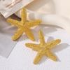 Joyería Transfronteriza Europea y Americana Playa Viento Oceánico Fiesta Collar de Estrellas Exageradas Collar con Colgante de Estrella de Mar para Vacaciones en la Playa